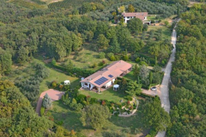 B&B Romy Rocker Verona